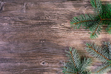 Christmas background. brown wooden drawing and vibrant green branches