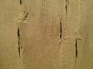 old paper texture of wood