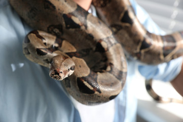 Man with his boa constrictor at home, closeup. Exotic pet