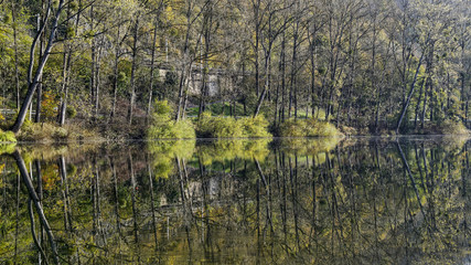 Reflets le long de la rivière