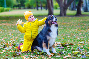 little girl in the park  with a dog Australian Shepherd