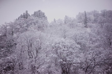 冬の始まり、雪国に冬の季節到来