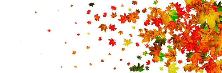 Autumn leaf pattern. Season falling leaves background. Thanksgiving concept