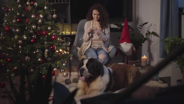 Attractive Caucasian woman sitting on comfortable armchair in front of fireplace and Christmas tree and knitting. Big Saint Bernard lying with his human friend. Camera moving from left to right.
