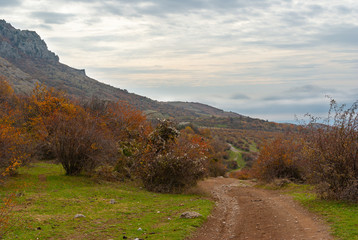 Plakat Fall landscape with an earth road on mountain pasture Demerdzhi, Crimean peninsula