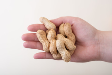 Erdnüsse in einer Hand