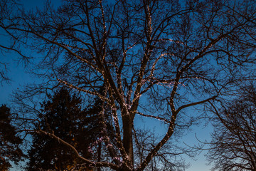 Christmas decorations in the central park of Kouvola with evening light illumination.