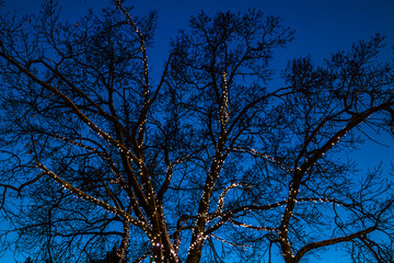 Obraz premium Christmas decorations in the central park of Kouvola with evening light illumination.