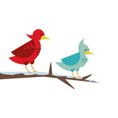 cute little birds in tree dry branche