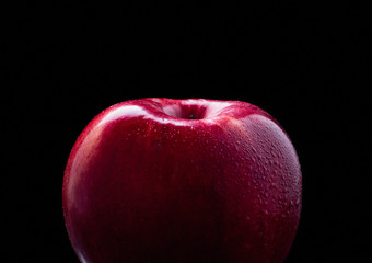 Wet red apple fading into black background