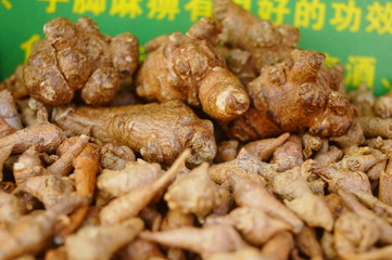 Wild medicine panax notoginseng