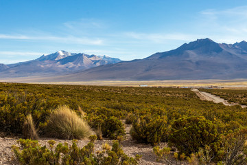 Volcanoes near the Sajama national park in Bolivia.