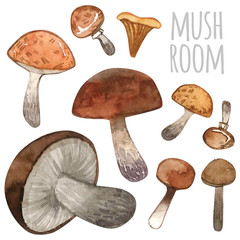 Watercolor illustration with mushrooms and berries. Set of mushrooms. Forest design elements. Hello Autumn! Perfect for seasonal advertisement, invitations, cards