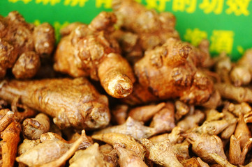 Wild medicine panax notoginseng