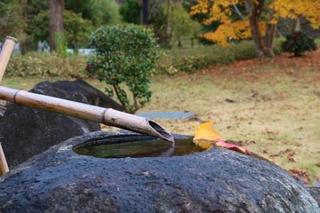 秋　手水鉢　つくばい　風景