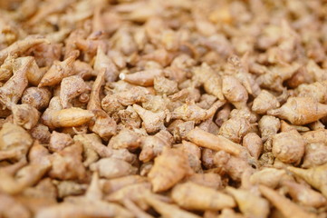 Wild medicine panax notoginseng