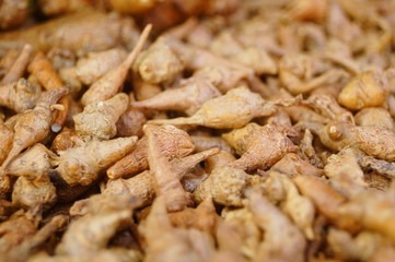 Wild medicine panax notoginseng