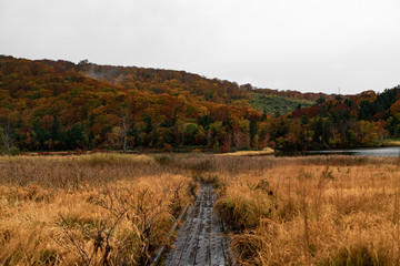 The autumn colors in Hachimantai