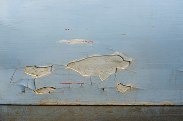 Old car door. Door with a breakaway thick layer of putty. An old, painted car many times. Close-up. Horizontal photo layout.