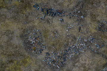 The stone circules in Tohoku region