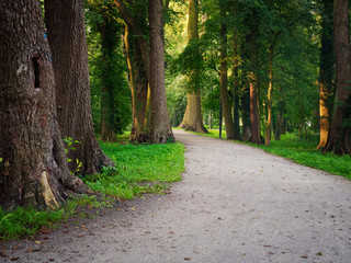Fototapeta na wymiar City green park scenic footpath. Wolsztyn, Poland