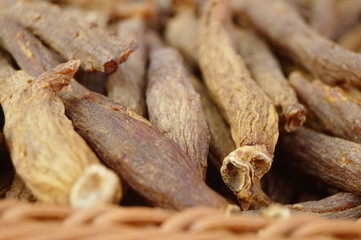 Close-up of the medicinal herb red ginseng