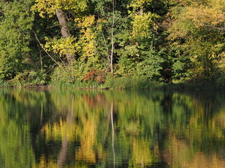 Beauty landscape of trees reflected in water at Wilanow park in european Warsaw capital city in Poland