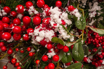 New Year and Christmas still life. Frozen red berries in the winter in the snow.