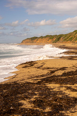 Coastal landscape beach and rocky coast.