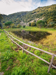 Piccolo laghetto alle pendici del monte Altesina in Sicilia