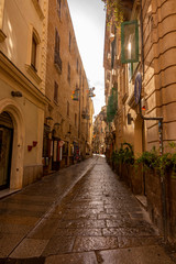 Fototapeta na wymiar View at narrow street in Italy.