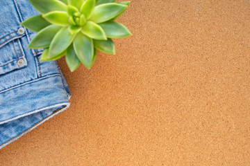 Cork background, green succulent plant and jeans. Denim jeans sale. Casual lifestyle.