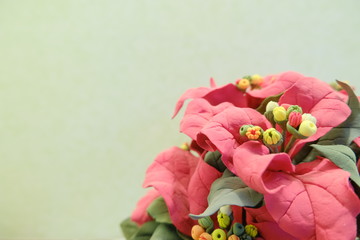 ブリザードフラワー３０