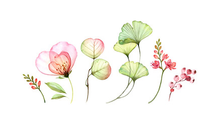 Set watercolor elements of transparent rose, freesia and leaves. Collection og pink flowers, berries, branches. Botanic illustration isolated on white for greeting cards and wedding stationery design