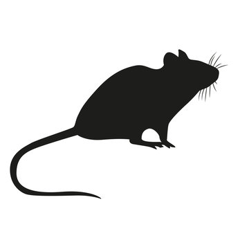 The black silhouette of a rat isolated on a white background. Vector illustration