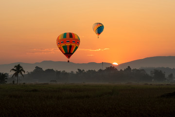 Obraz premium Hotair balloon in the morning sky floating through the rice fields