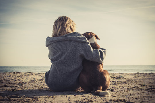 Young woman sitting and hugging dog on the beach. Friendship concept - woman and dog sitting together on a beach and enjoying sunrise. Back view colorized image