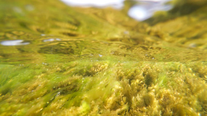 Underwater in the Baltic Sea