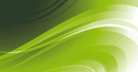 FOND COURBES VERT V1
