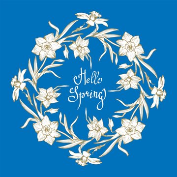 Vector botanical wreath with Hand Drawn elegant flowers Narcissus, Daffodil isolated on blue background and handwriting calligraphic phrase Hello Spring. Floral manual llustration for wedding design. © Rina Ka