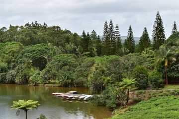 Obraz premium View of a lake shore surrounded by a tropical forest and with an empty wooden jetty.