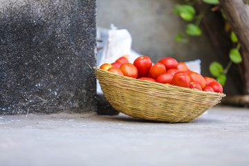 Fresh red tomato in basket 