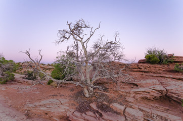 Arches Nationalpark