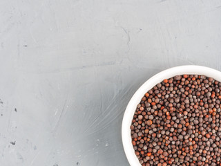 Mustard seeds in white bowl with copy space on a gray concrete background. Healthy eating concept