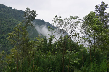 Fototapeta na wymiar Mist-shrouded mountains, Leshan city, Sichuan province, China.