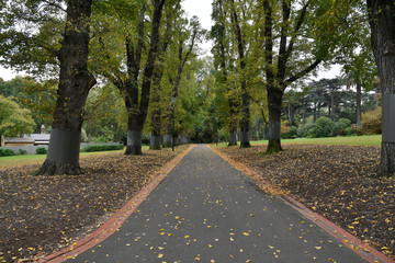 Walkways at Fitzroy Gardens, Melbourne, Australia