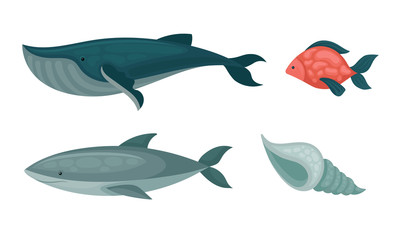 Collection of Sea or Ocean Fishes, Whale, Dolphin, Seashell Aquatic Animals and Creatures Vector Illustration