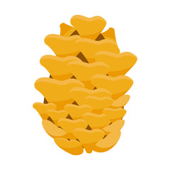 acorn seed nature decorative icon