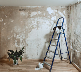 Wall preparation for painting. Cleans the wall with a putty knife. Black and white cat sitting on...