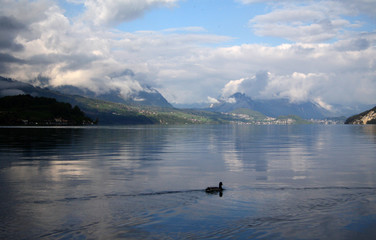 Obraz na płótnie Canvas A View of Thun Lake in the Morning, Switzerland